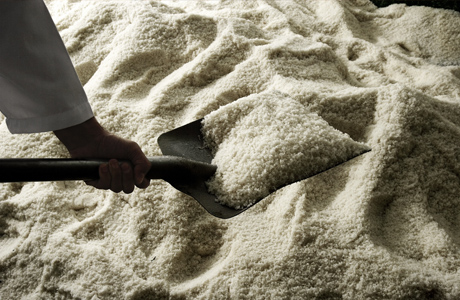 tradicion elaboracion salazon1